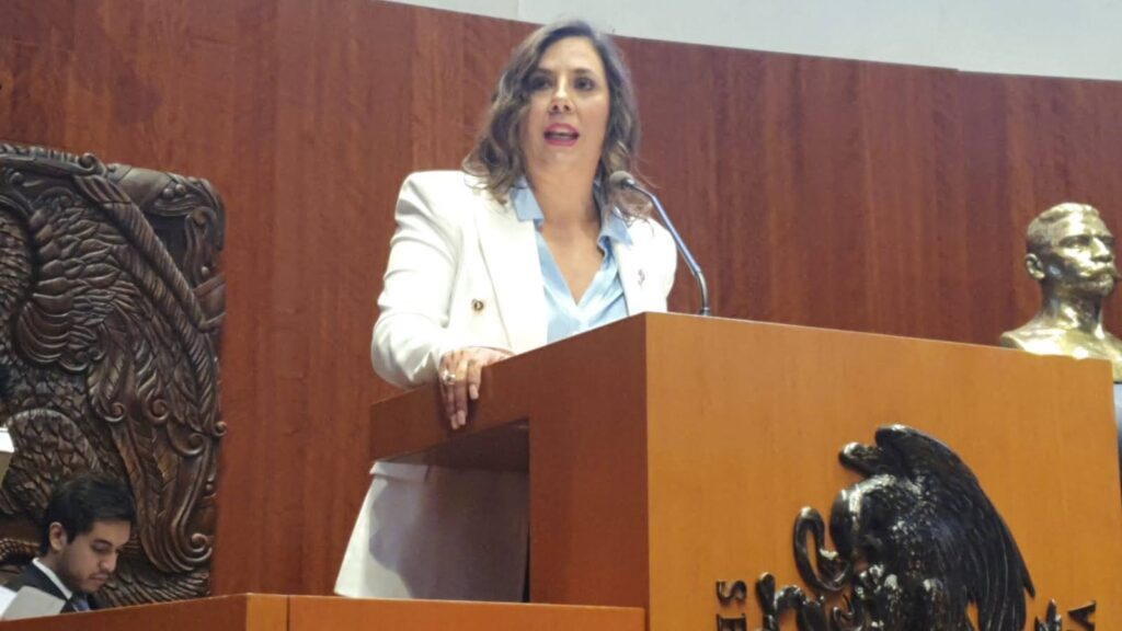 Inquieta la forma en que se ejecuta la política en México desde Palacio Nacional: Cruz Blackledge