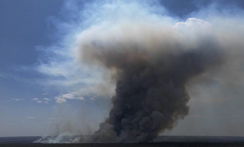 Combaten incendio que amenaza Brasilia