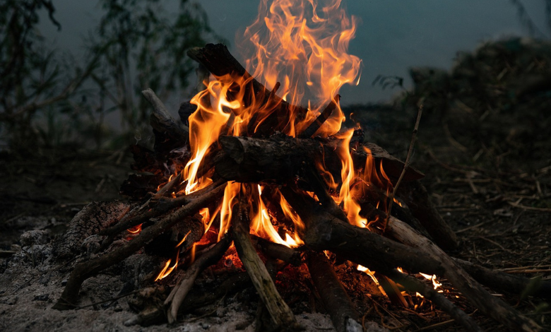 Descubren campamento del crimen organizado en Sinaloa