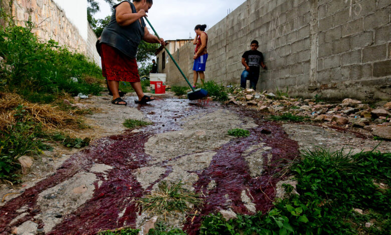 Gobierno de Trump designa a la pandilla Barrio 18 como organización terrorista extranjera