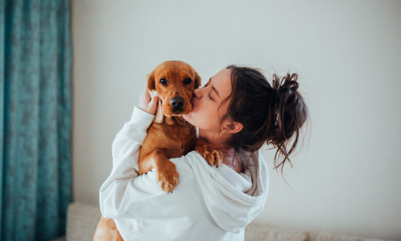 Mexicanos gastan más de mil pesos mensuales en mantener mascotas